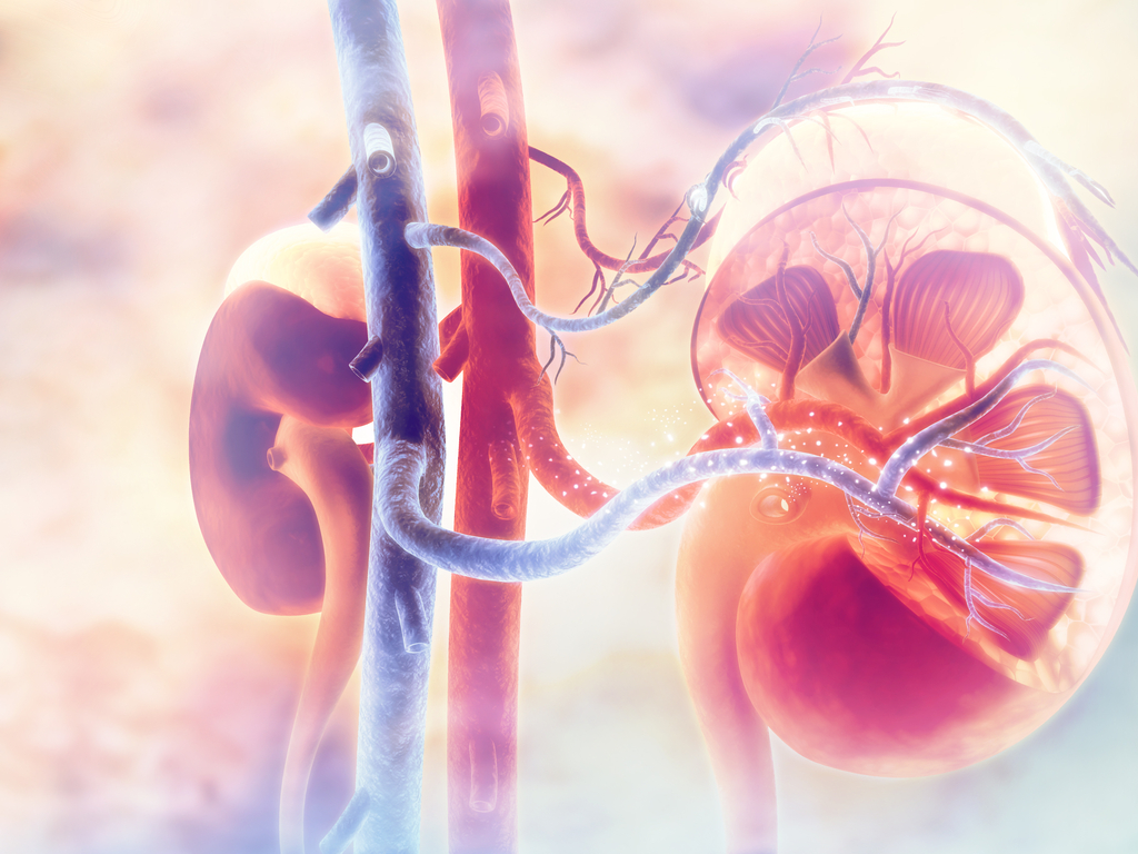 Diagnóstico y manejo de la lesión renal aguda en pacientes con COVID-19